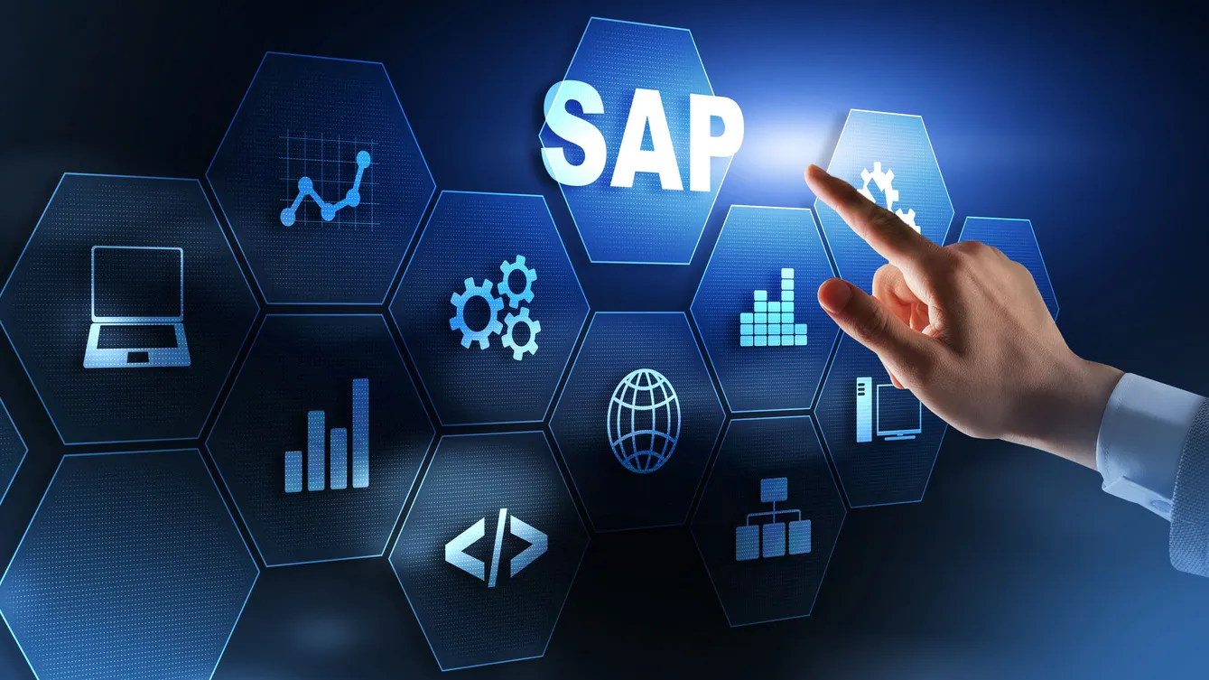 SAP Enterprise Solutions background